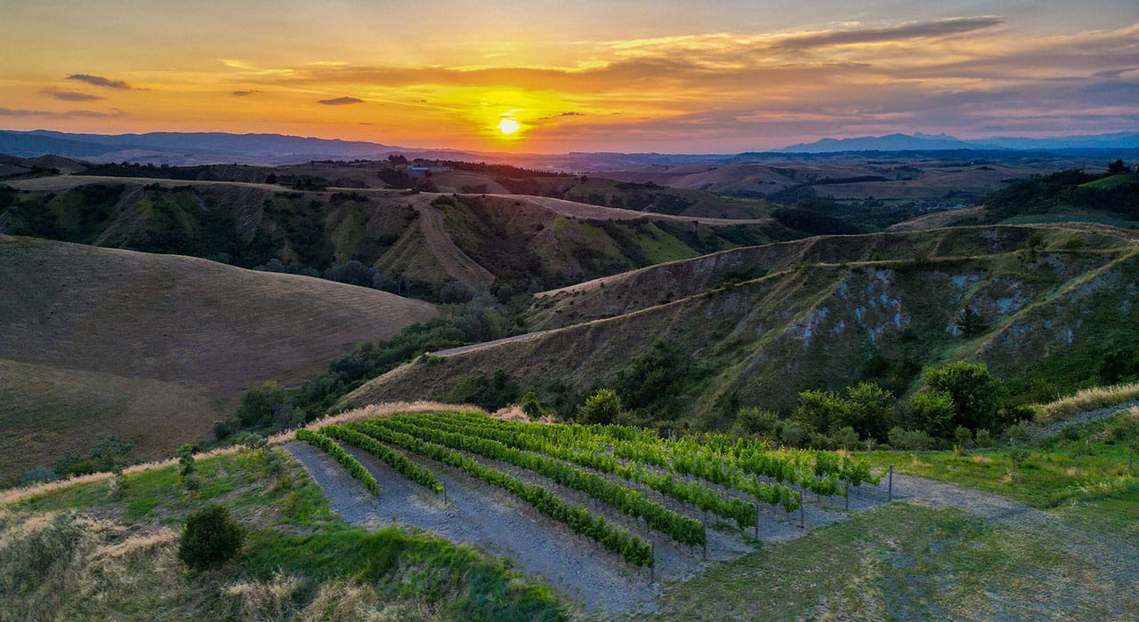 Cene tra i Filari in Toscana | Agriturismo San Giacomo